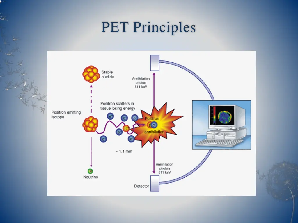 pet principles