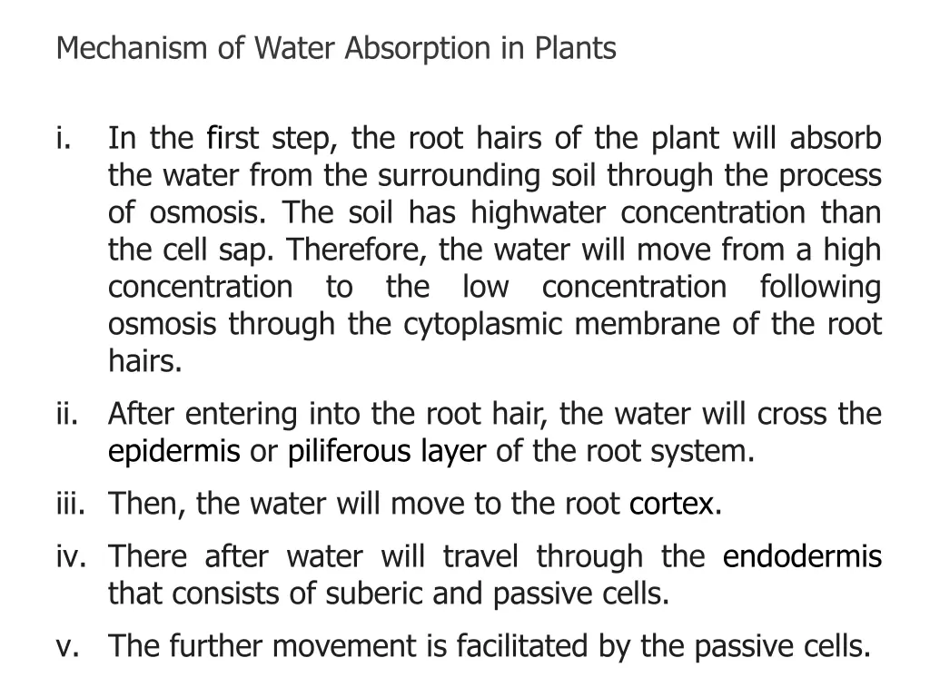 mechanism of water absorption in plants