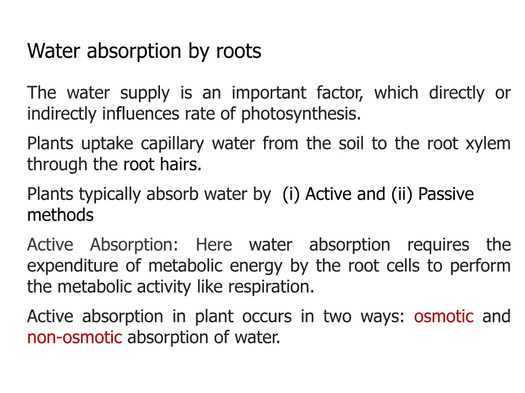 water absorption by roots