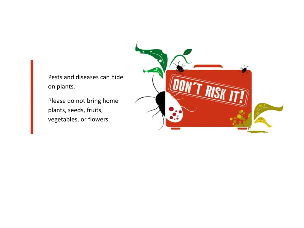 pests and diseases can hide on plants 1