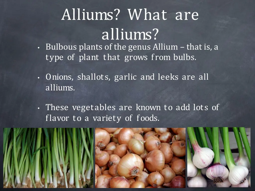 alliums what are alliums bulbous plants