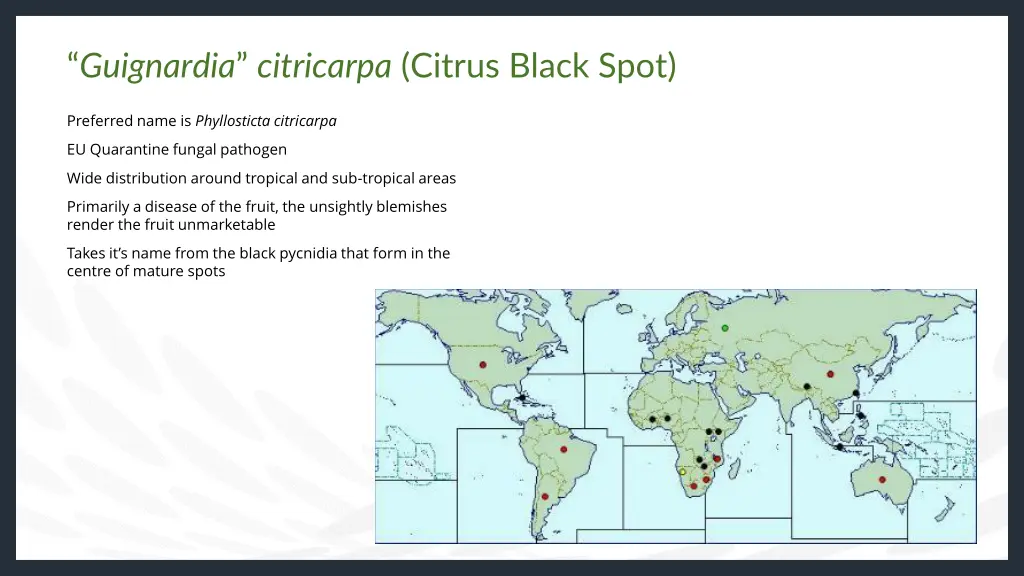 guignardia citricarpa citrus black spot