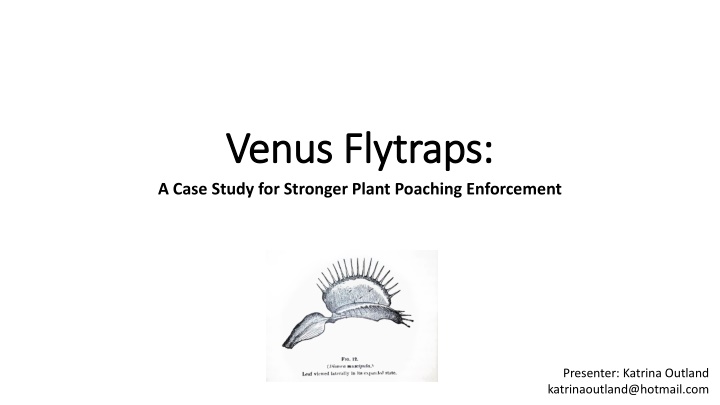 venus venus flytraps flytraps a case study