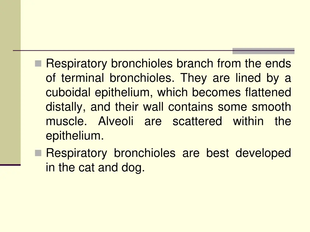 respiratory bronchioles branch from the ends