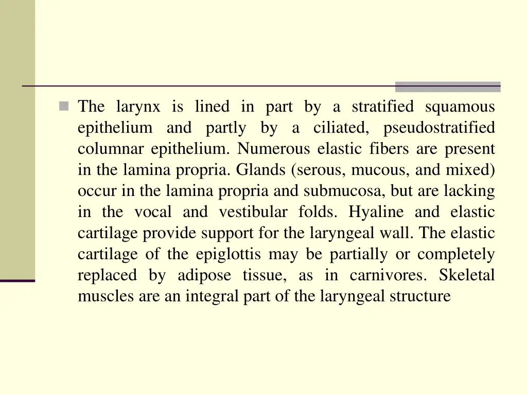 the larynx is lined in part by a stratified