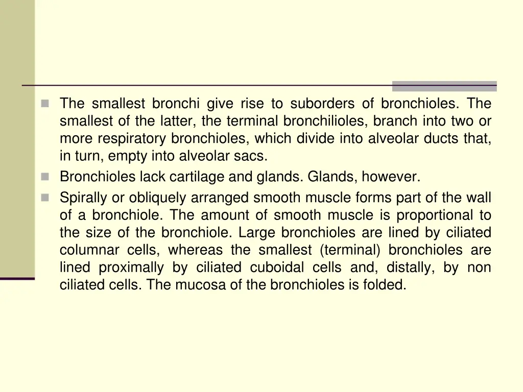 the smallest bronchi give rise to suborders