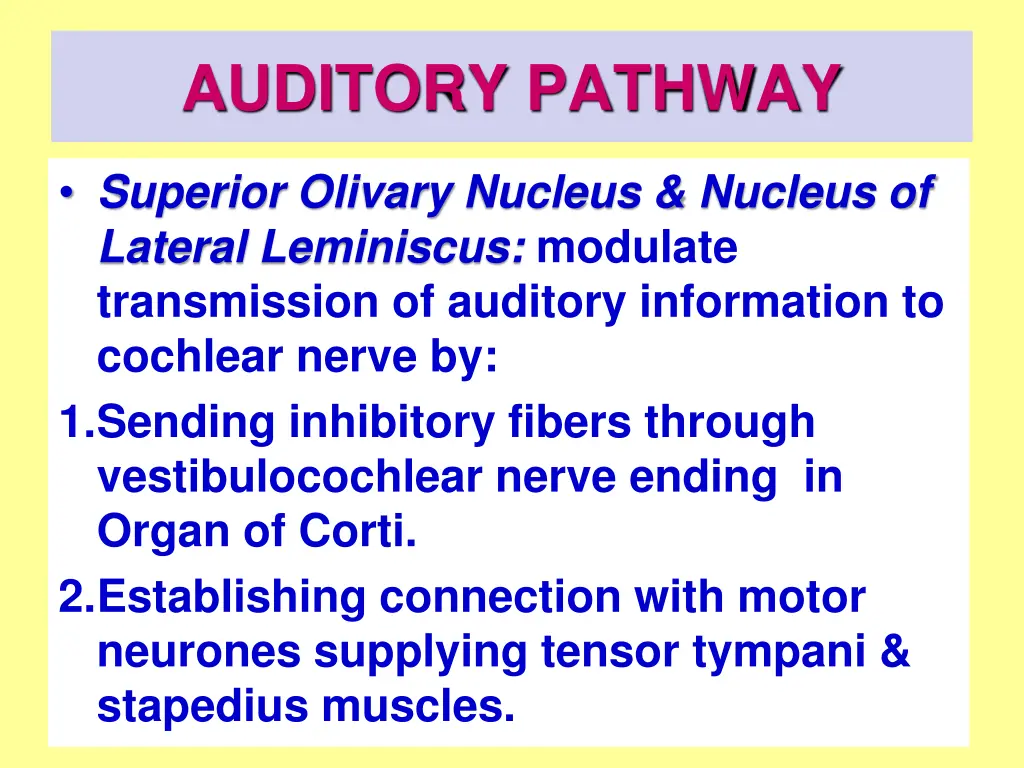 auditory pathway 4