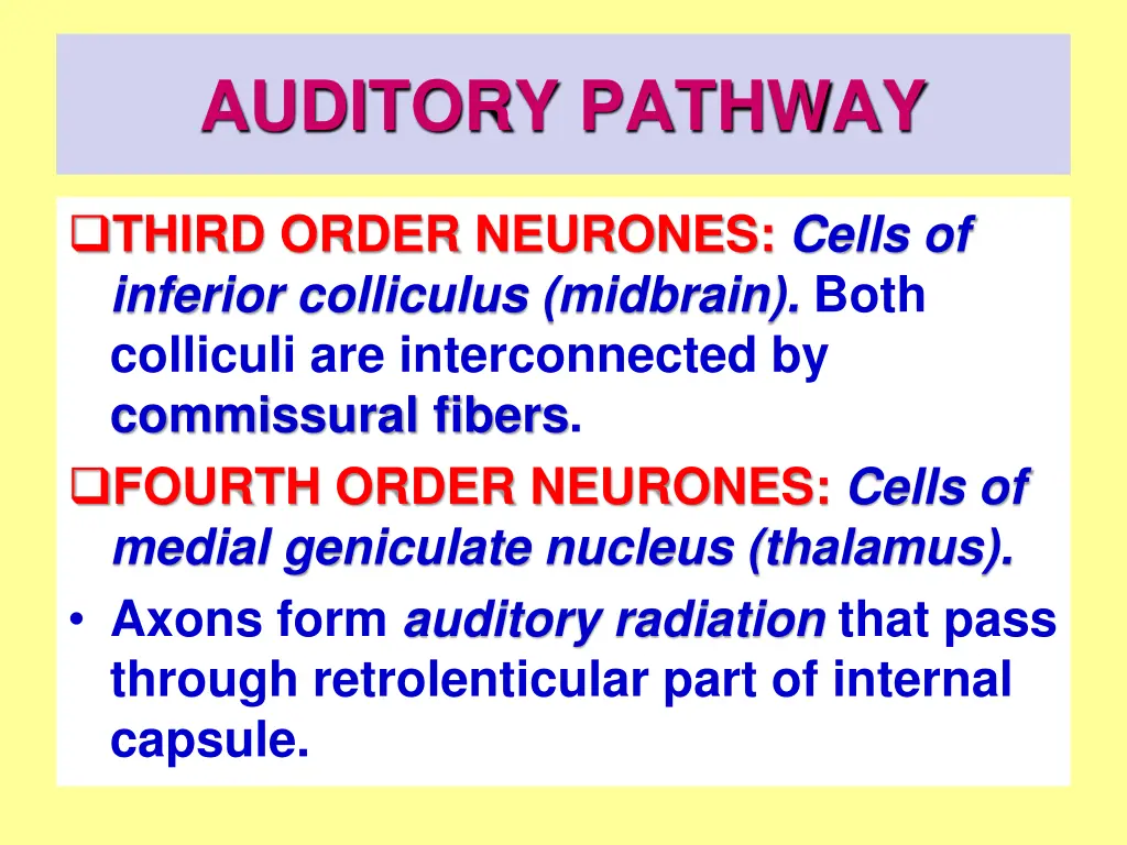 auditory pathway 5