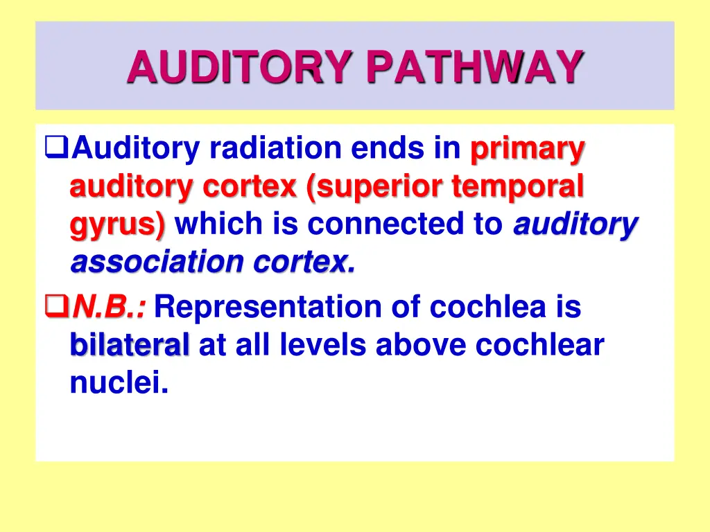 auditory pathway 6