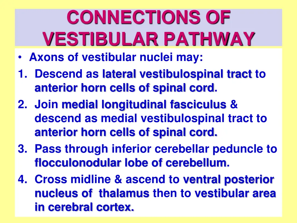 connections of vestibular pathway