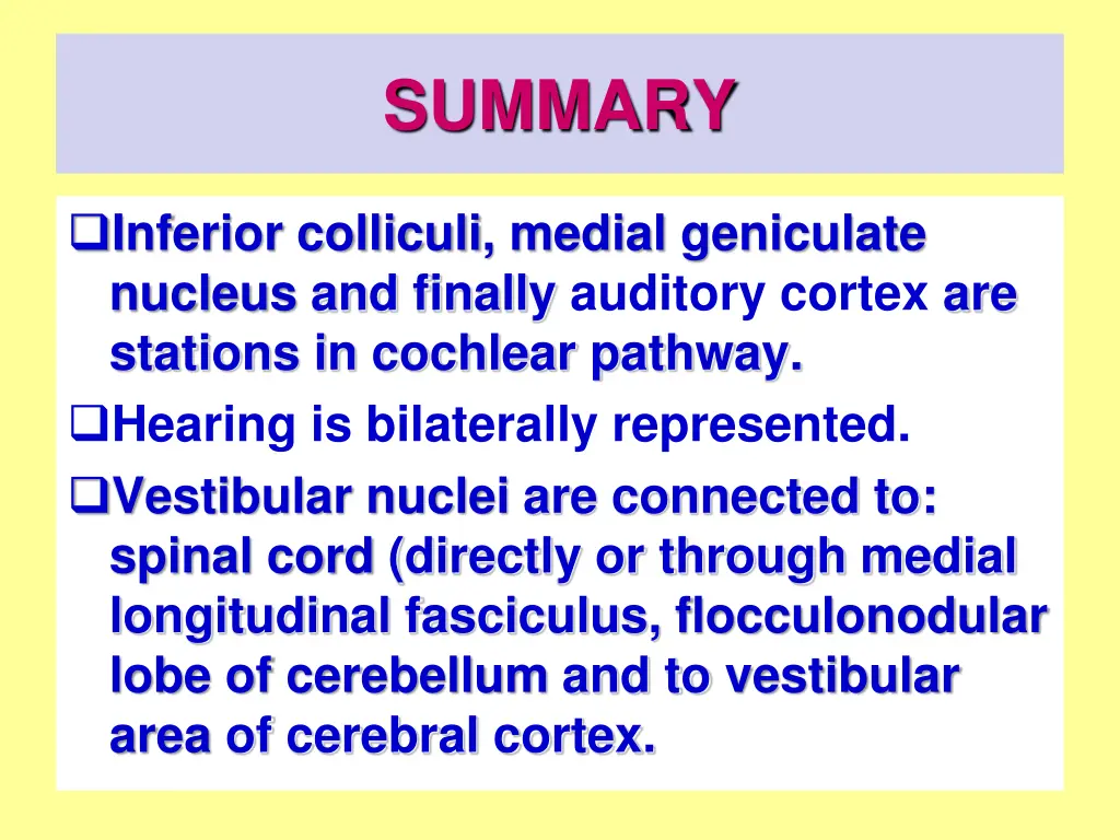 summary 1