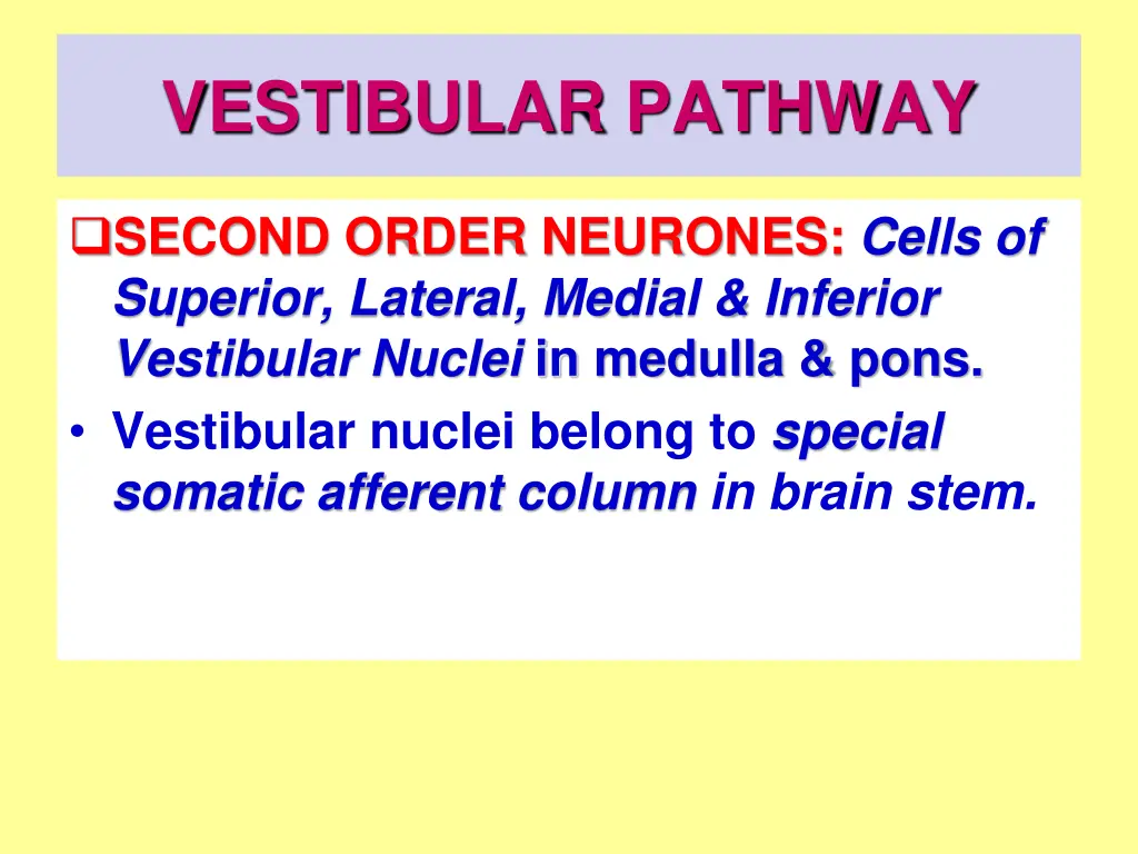 vestibular pathway 4