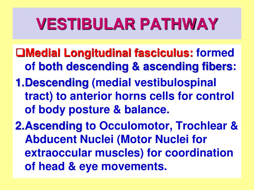 vestibular pathway 5