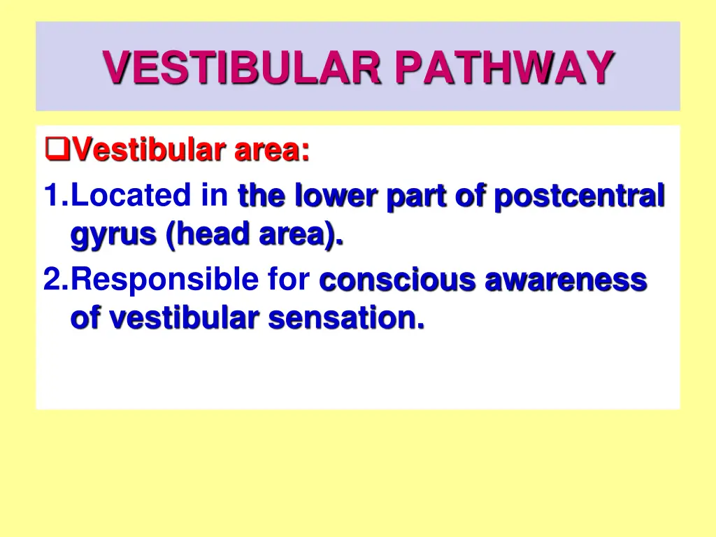 vestibular pathway 6