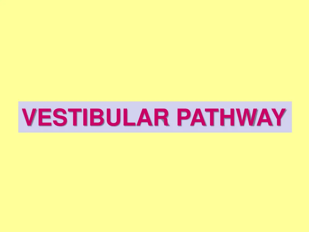 vestibular pathway