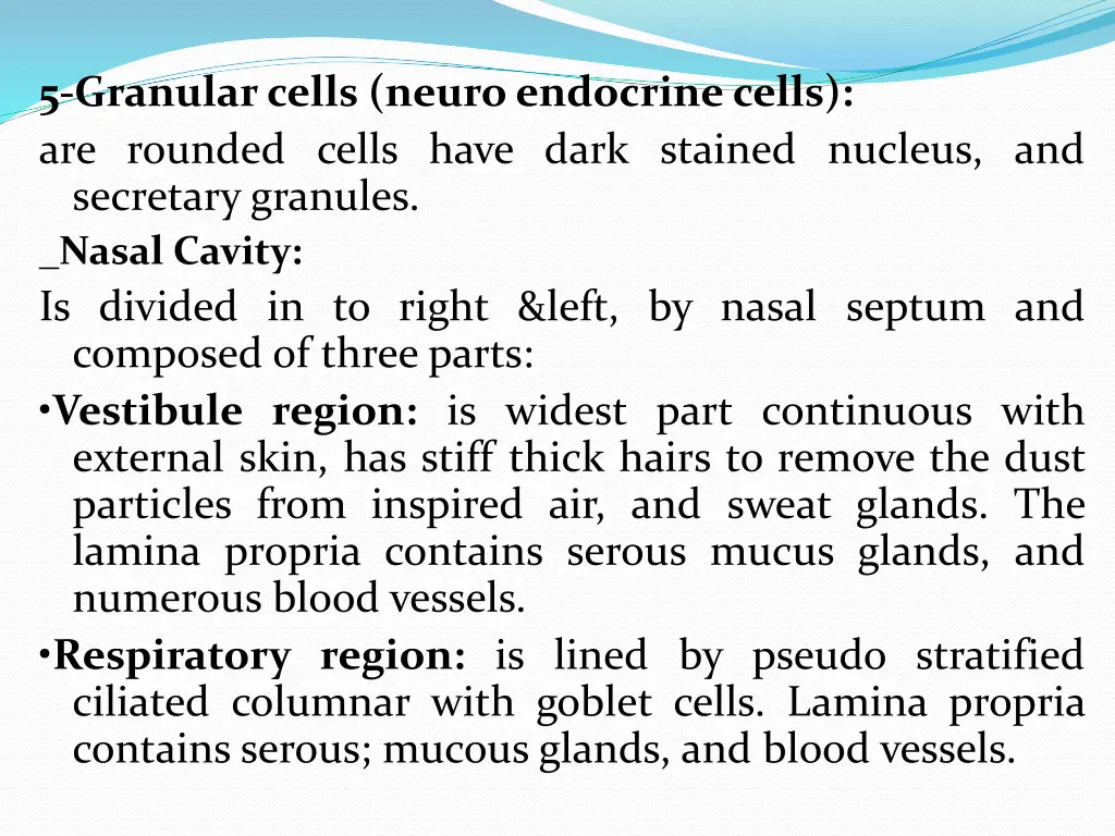 5 granular cells neuro endocrine cells