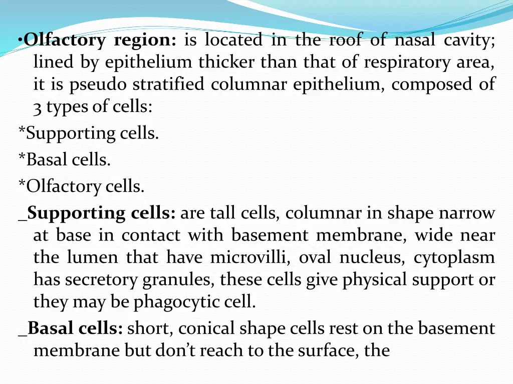 olfactory region is located in the roof of nasal