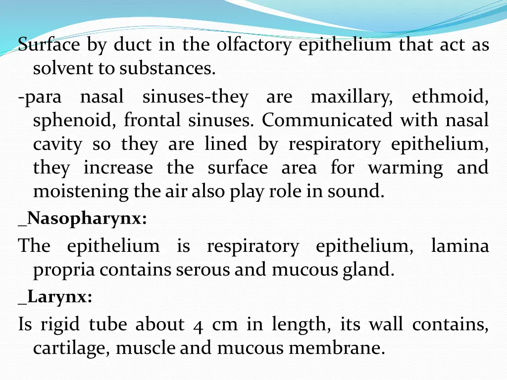 surface by duct in the olfactory epithelium that