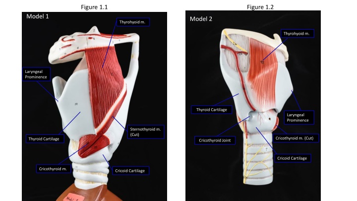 figure 1 2