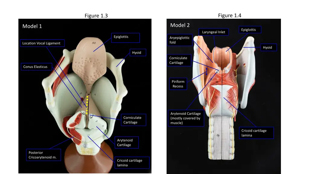 figure 1 4