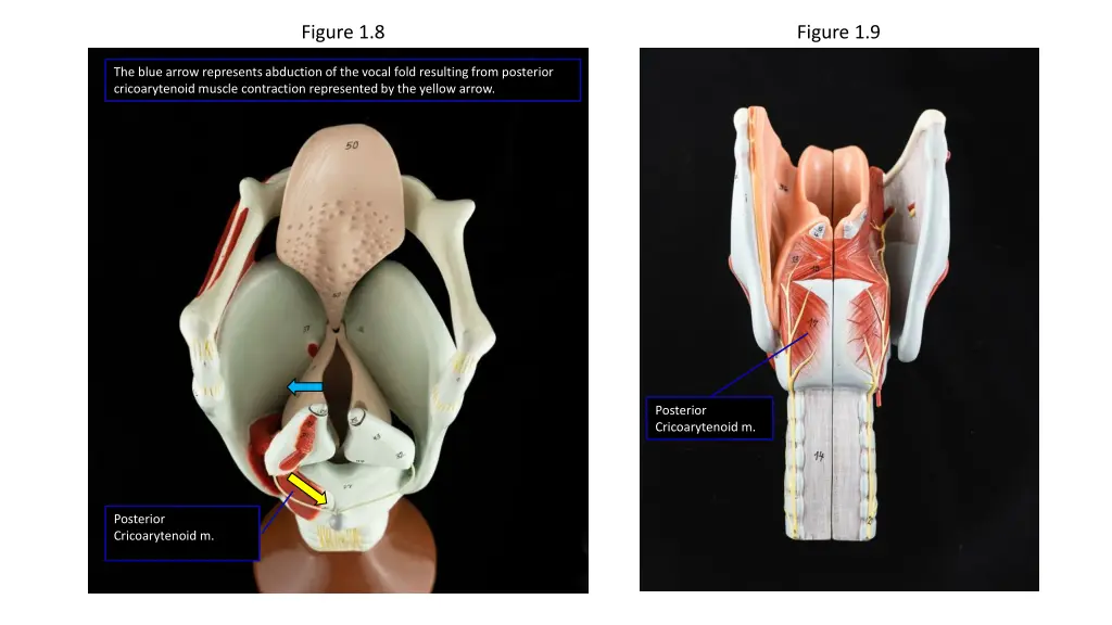 figure 1 8