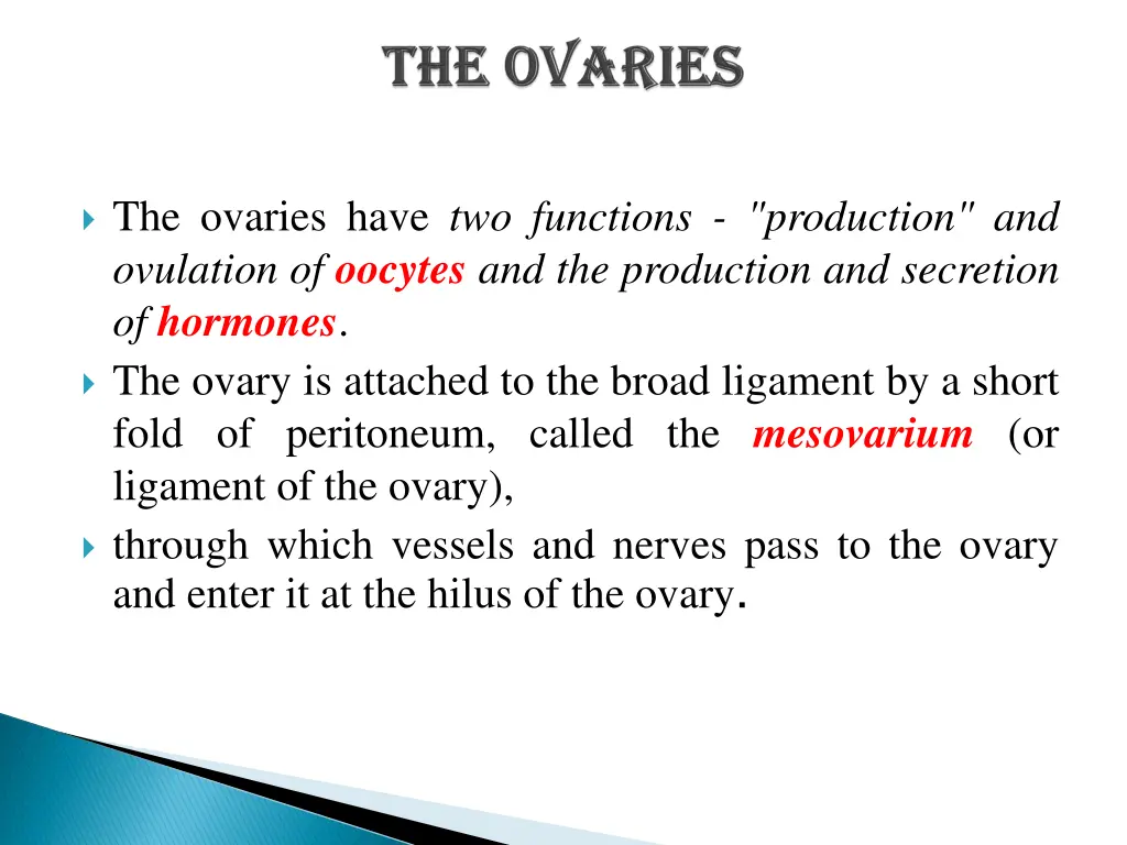 the ovaries have two functions production