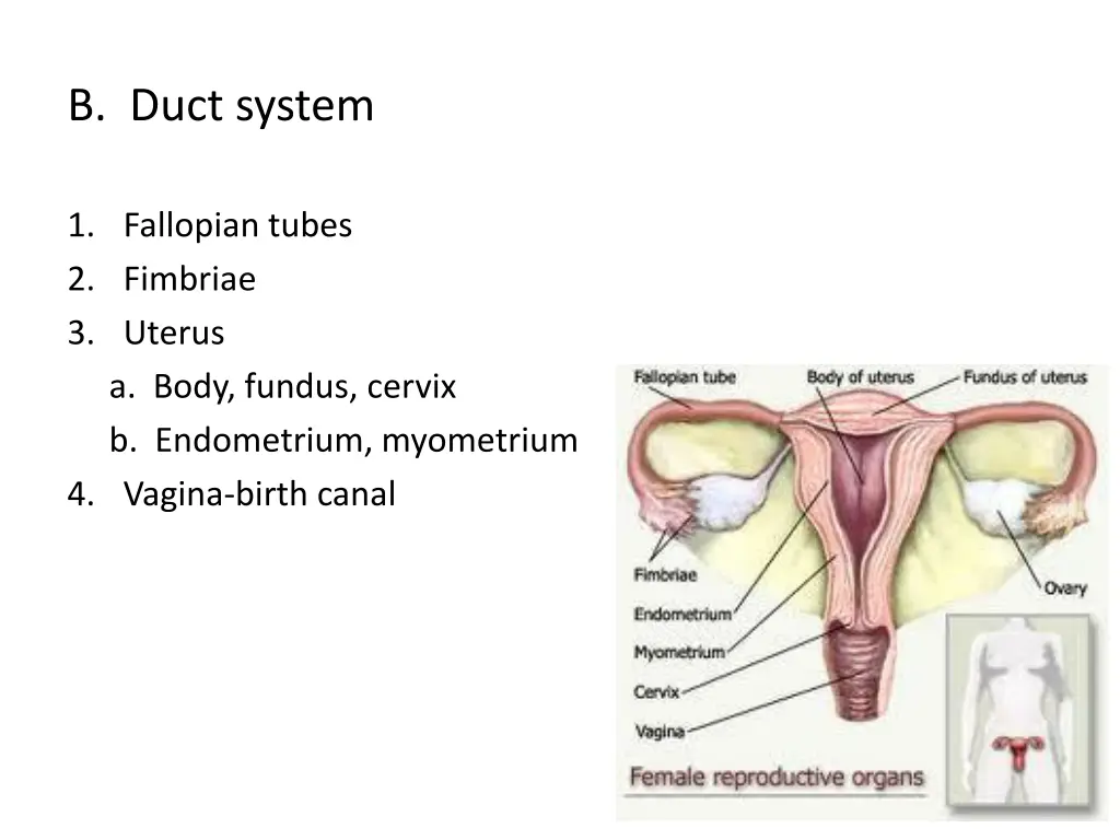 b duct system