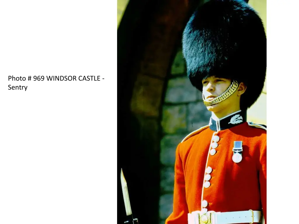 photo 969 windsor castle sentry