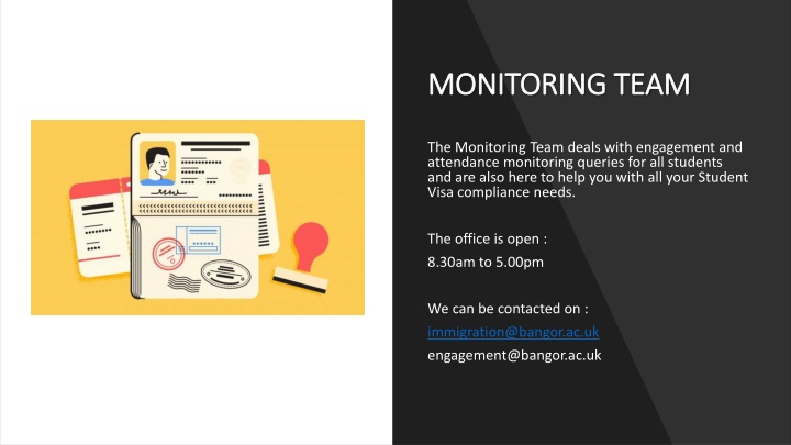 monitoring team monitoring team