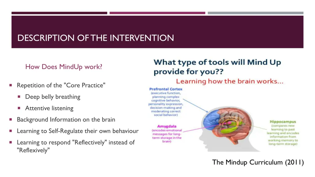 description of the intervention 1