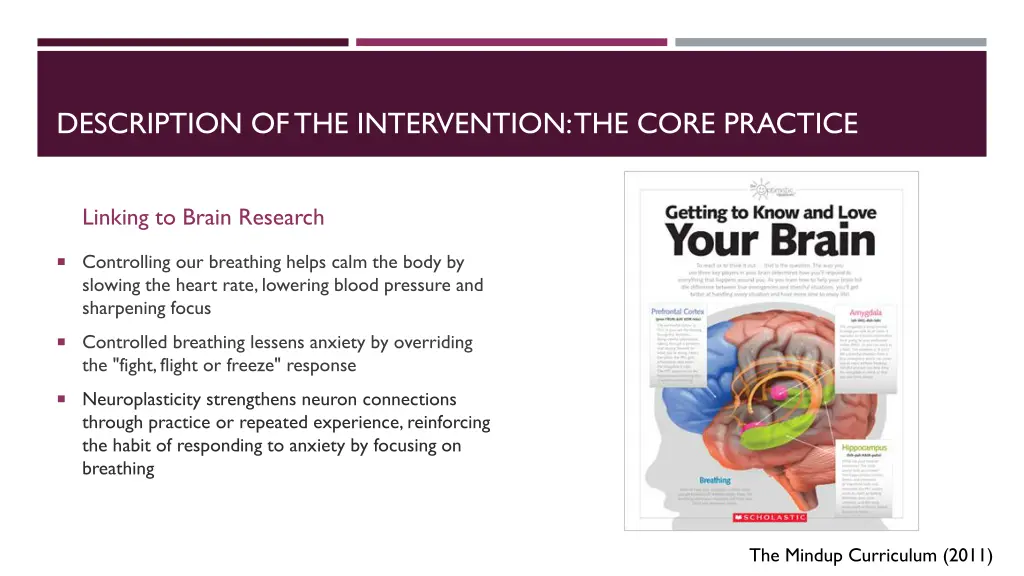 description of the intervention the core practice