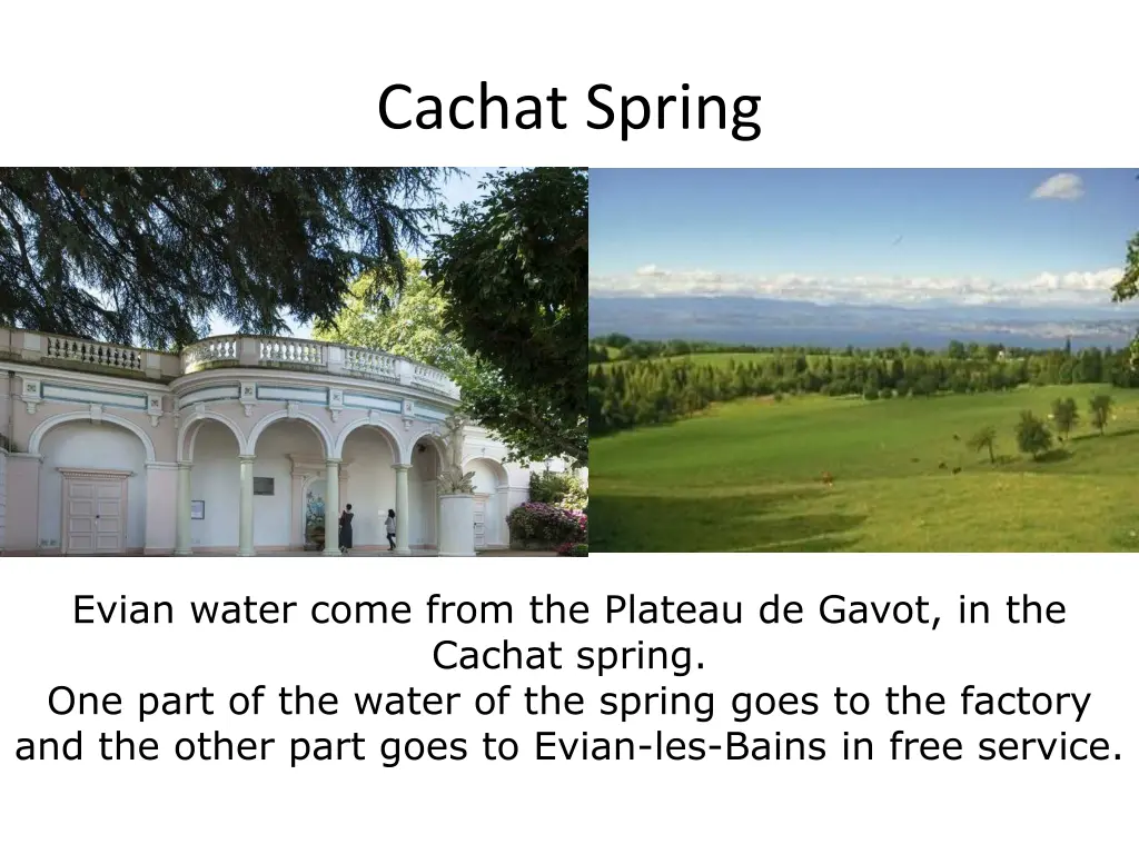 cachat spring