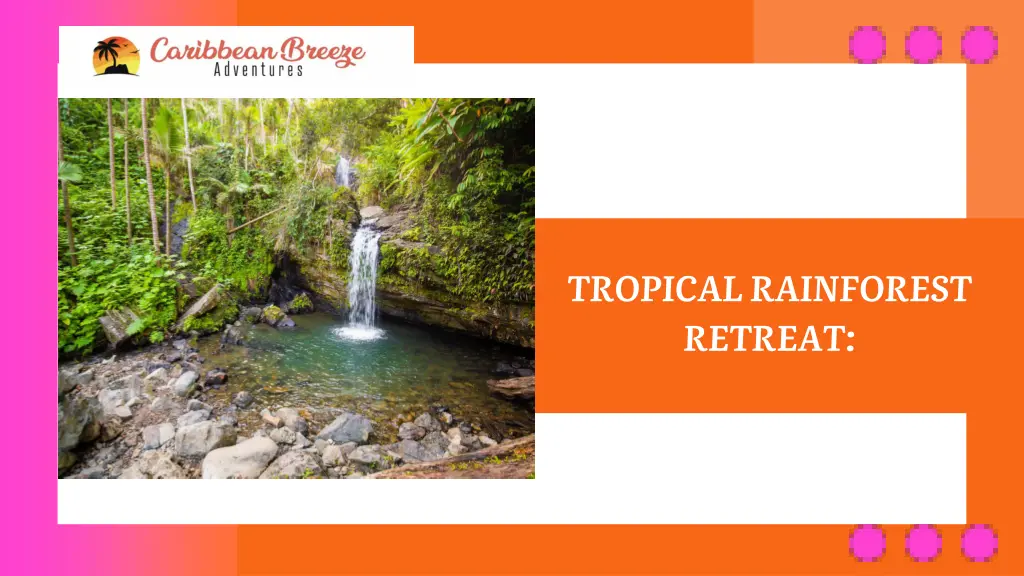 tropical rainforest retreat