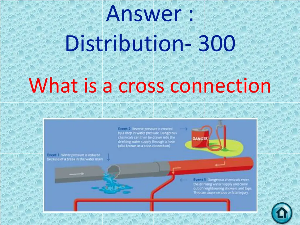 answer distribution 300