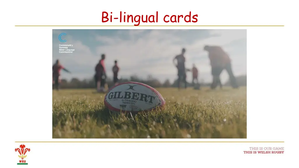 bi lingual cards 1