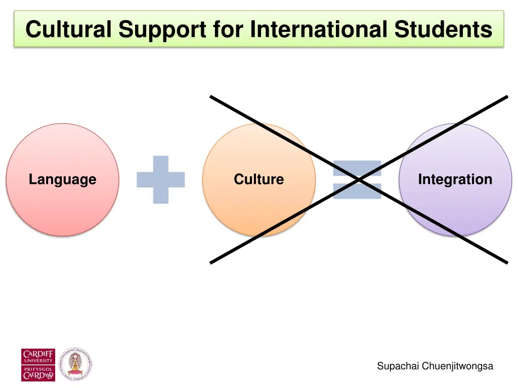 cultural support for international students