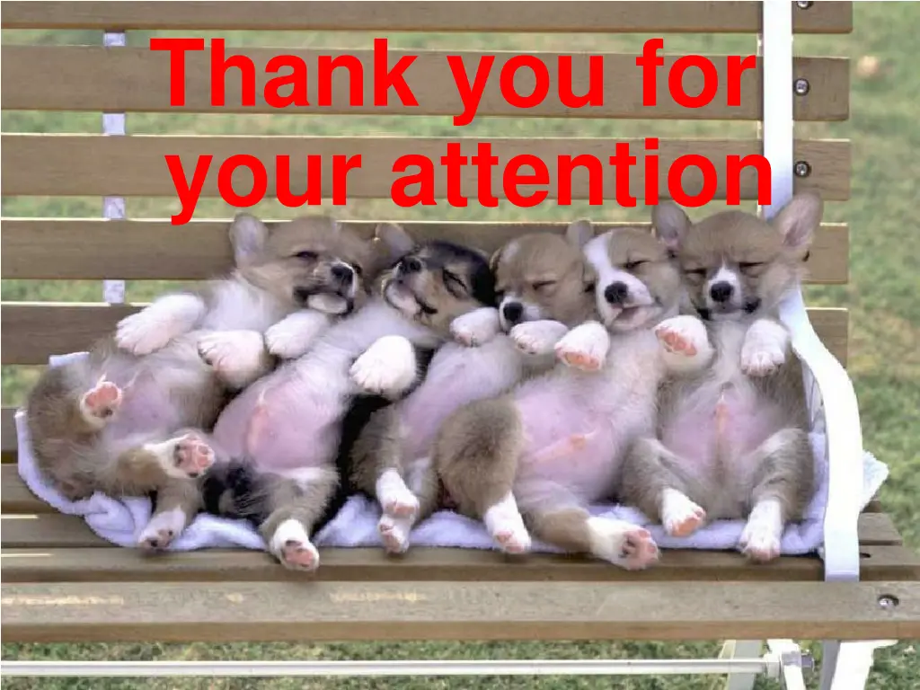 thank you for your attention