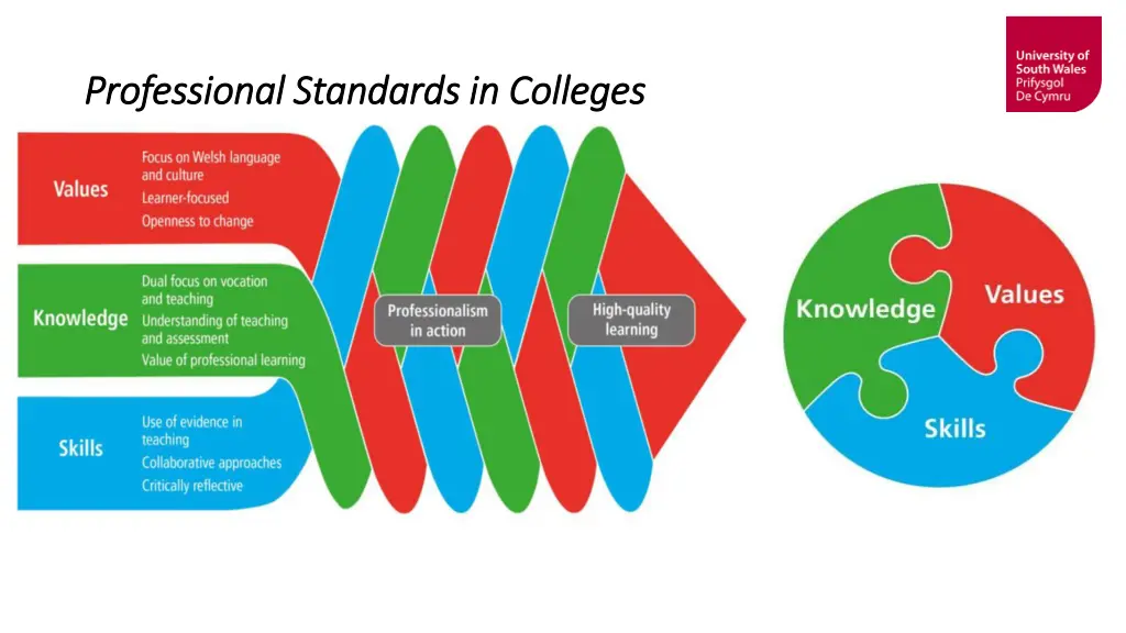 professional standards in colleges professional