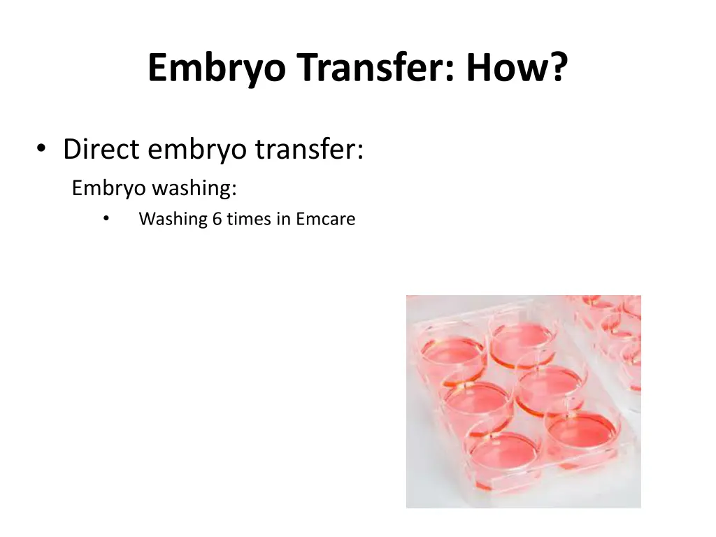 embryo transfer how 2