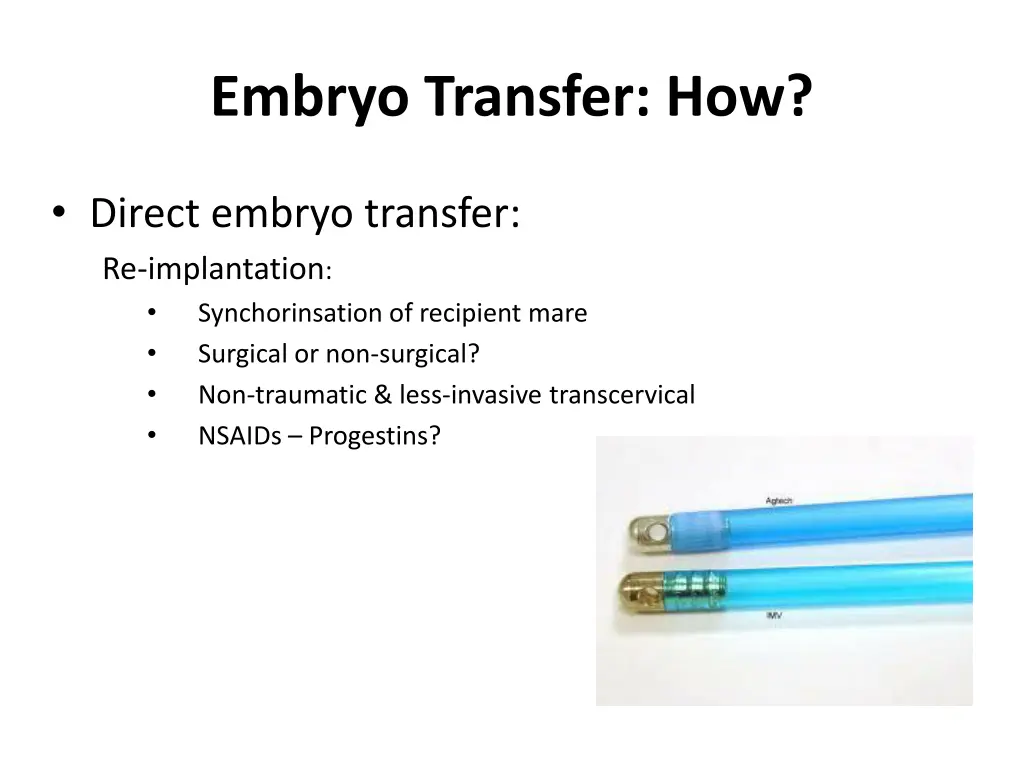 embryo transfer how 4