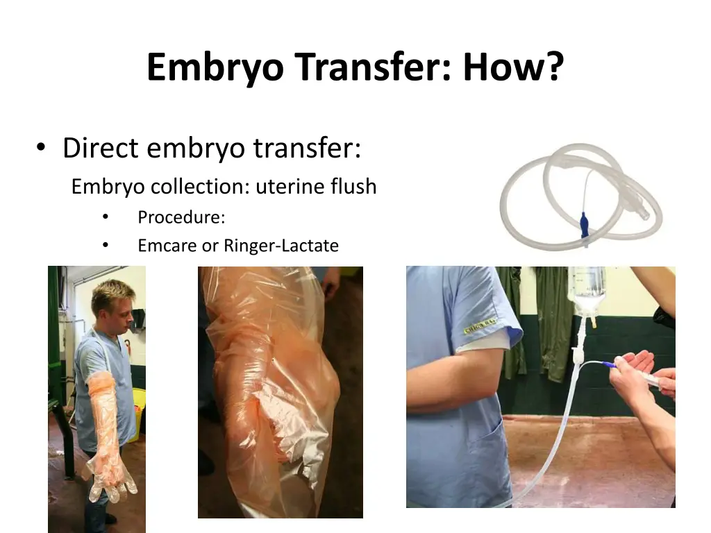 embryo transfer how