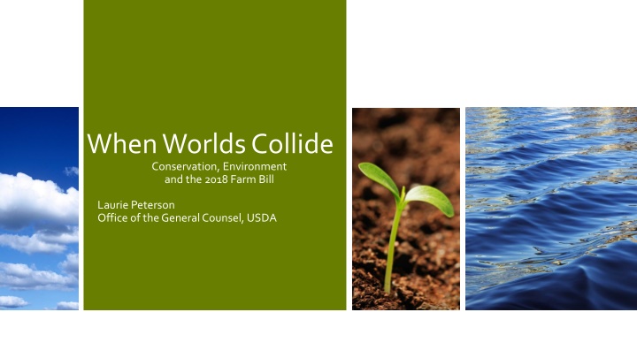 when worlds collide conservation environment