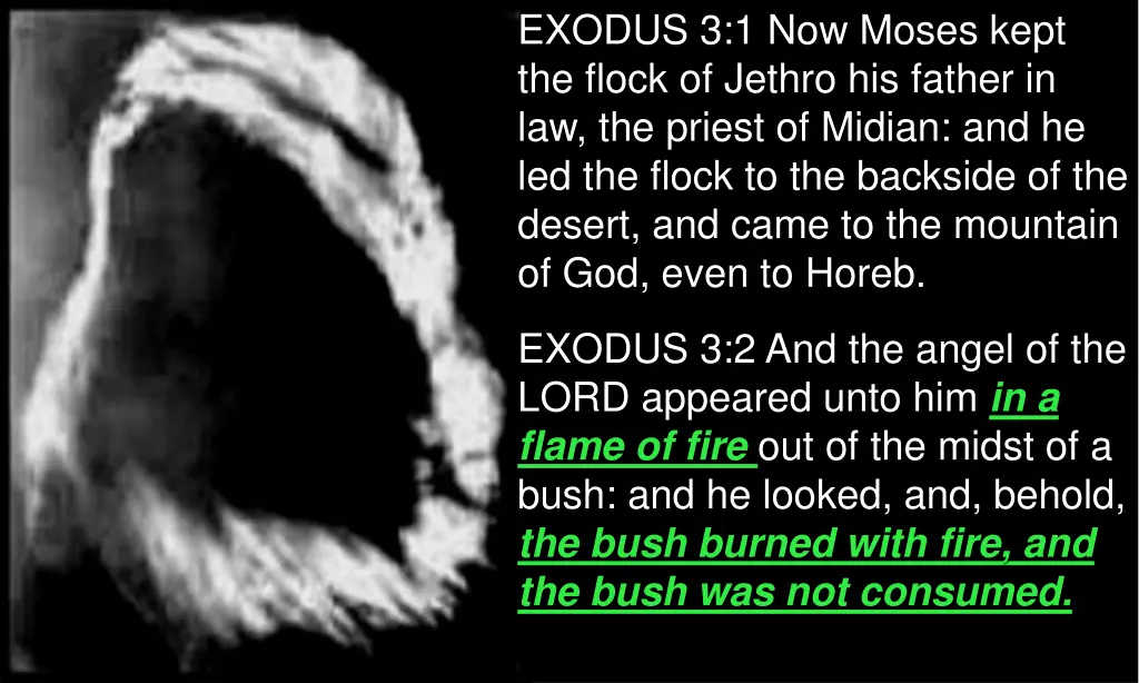 exodus 3 1 now moses kept the flock of jethro