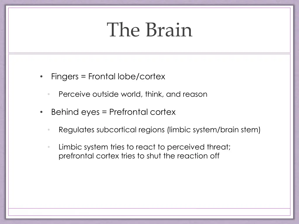 the brain