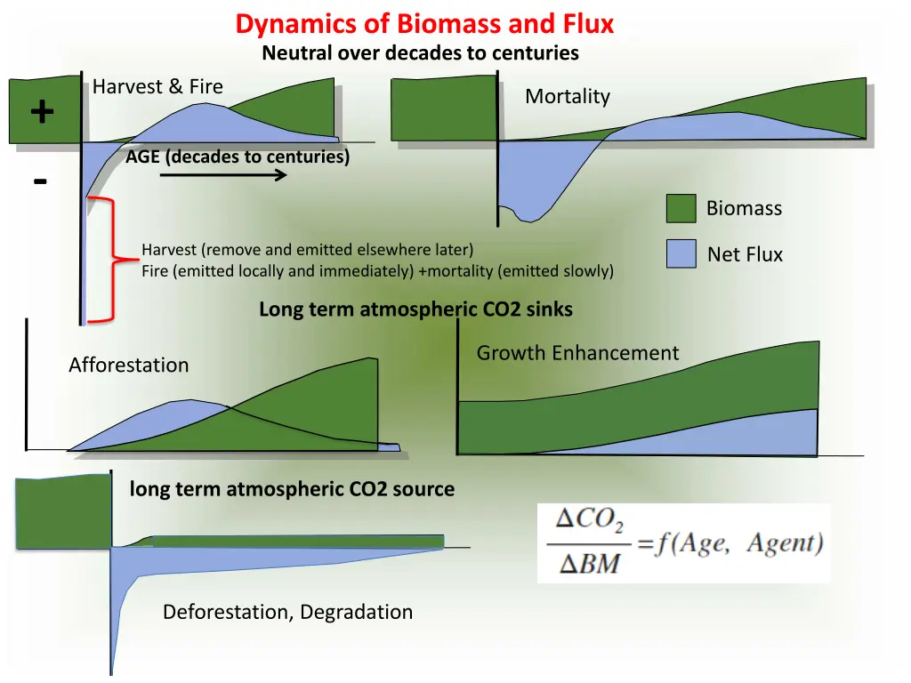 dynamics of biomass and flux