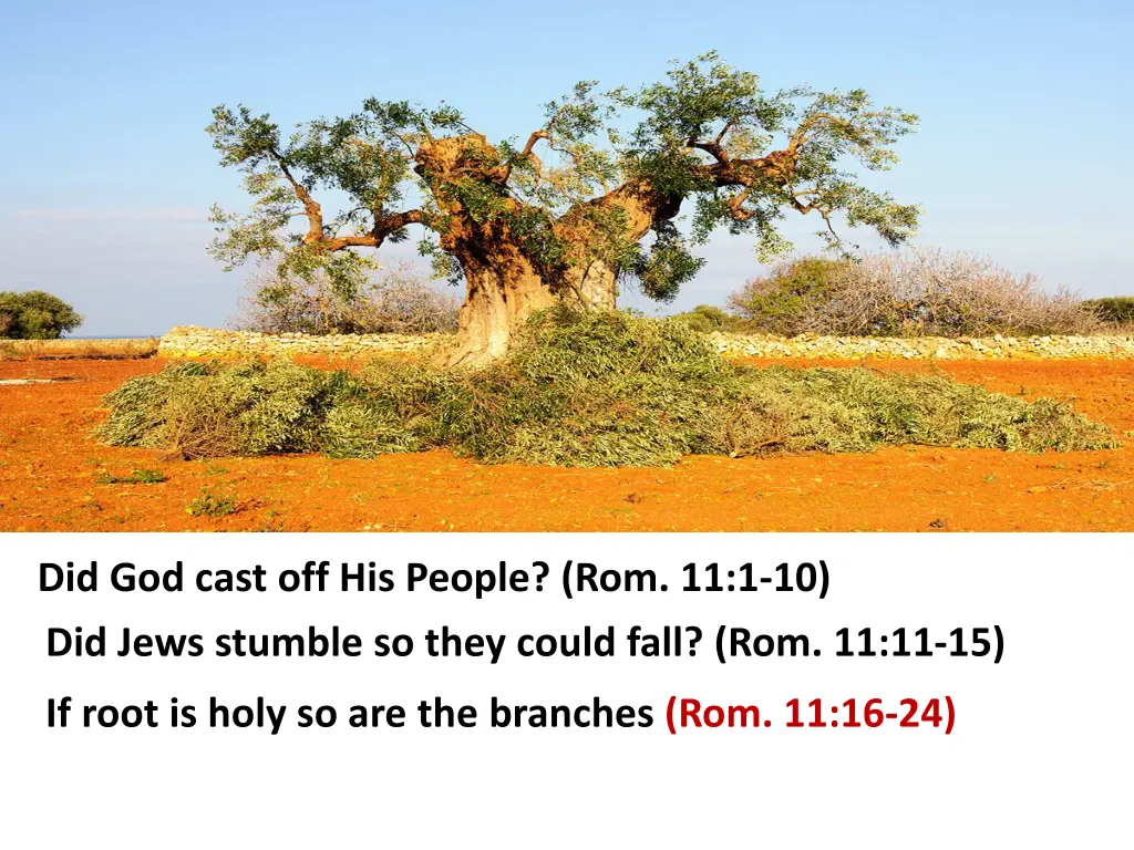 did god cast off his people rom 11 1 10 did jews 1