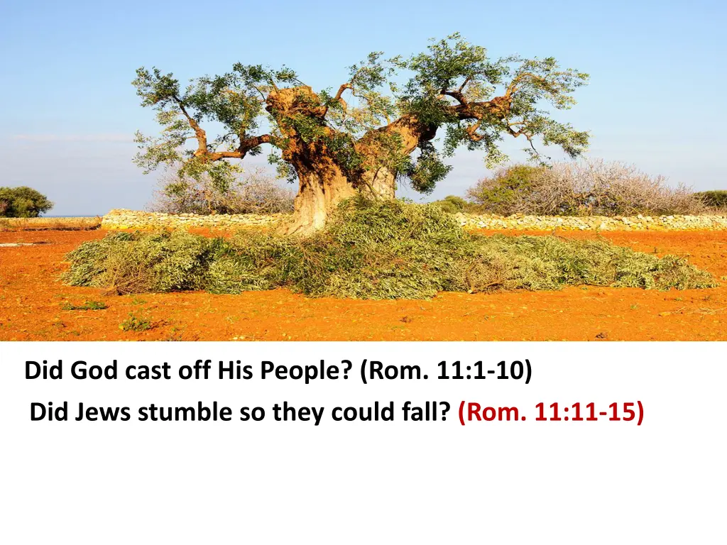 did god cast off his people rom 11 1 10 did jews