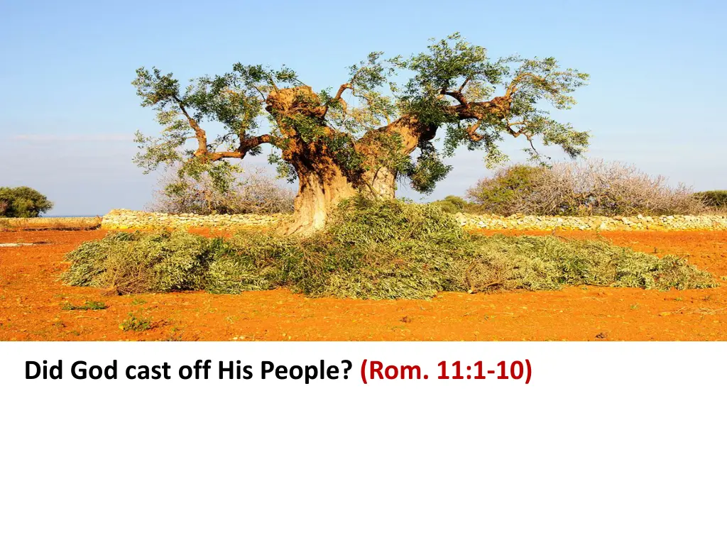 did god cast off his people rom 11 1 10