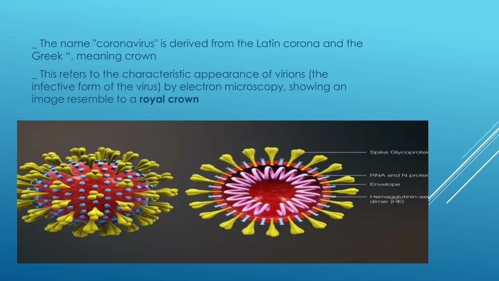 the name coronavirus is derived from the latin