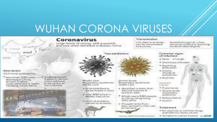 wuhan corona viruses